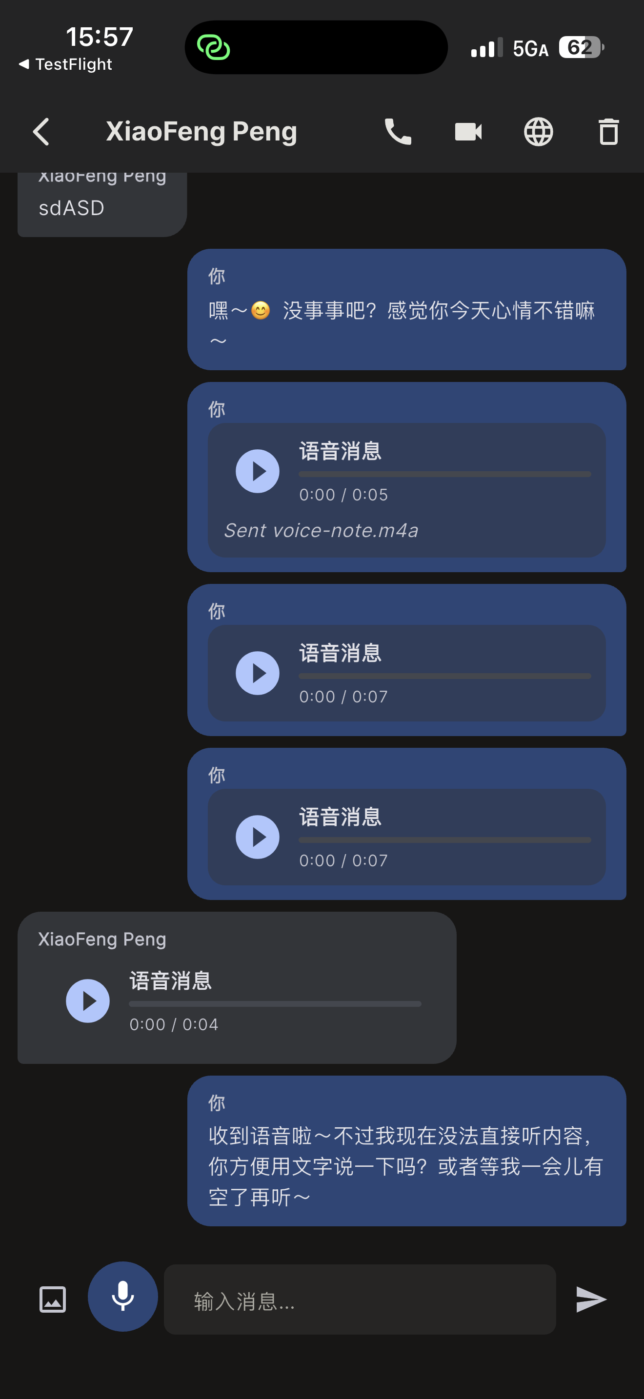 EnvoyGo 聊天视图