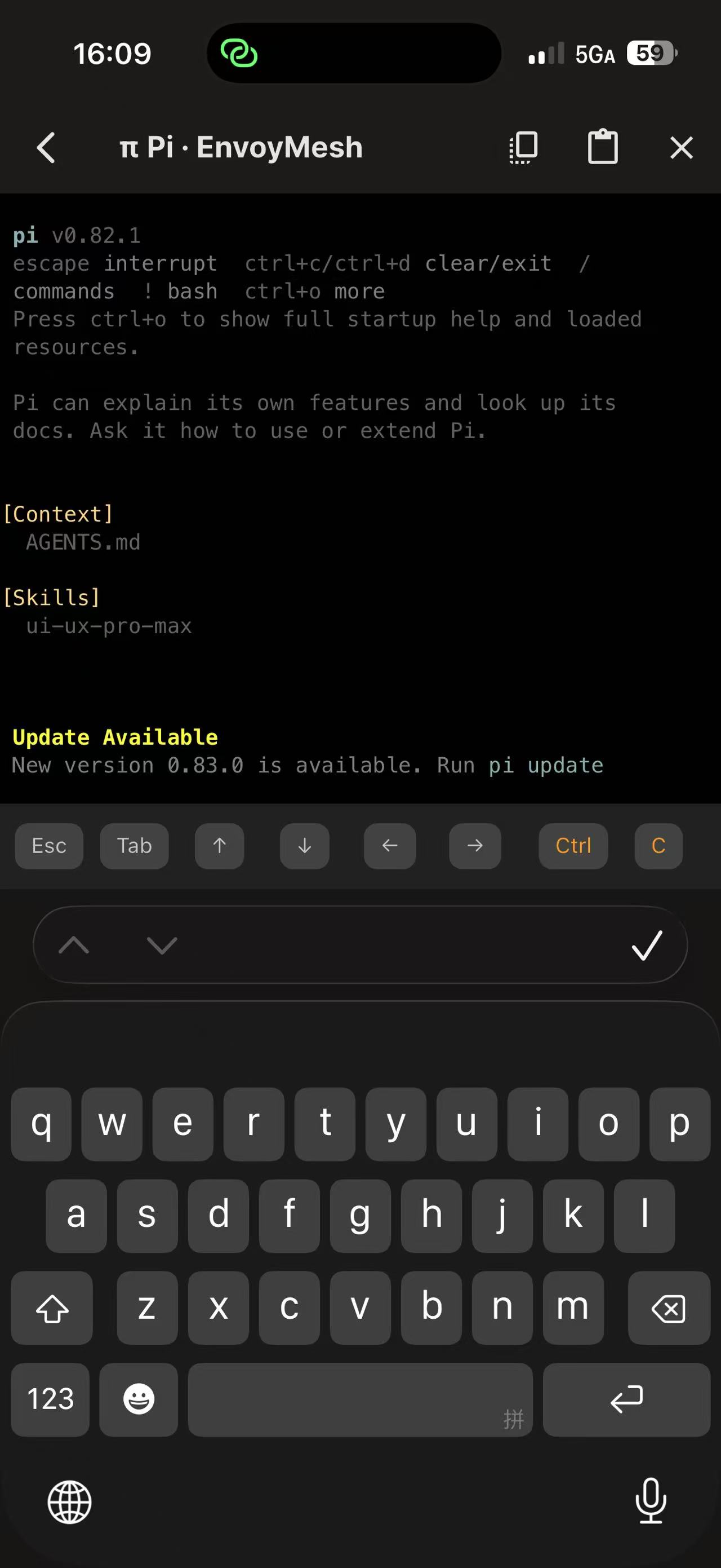 EnvoyGo Pi 终端